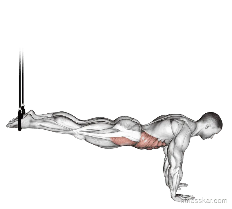 Suspended Reverse Crunch, Male demonstration, Start