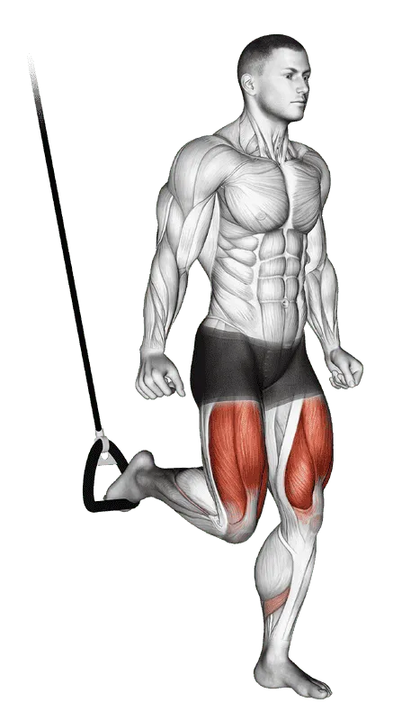 Suspended Split Squat, Male demonstration, Start