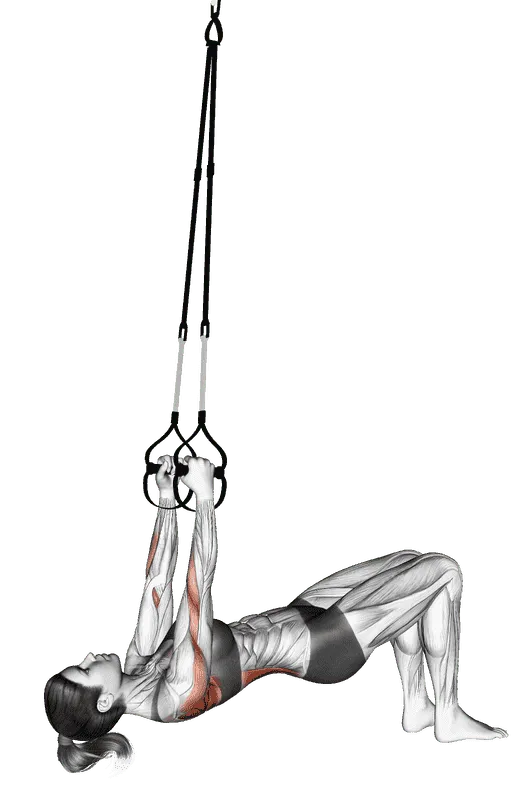 Suspender Bent-Knee Inverted Row