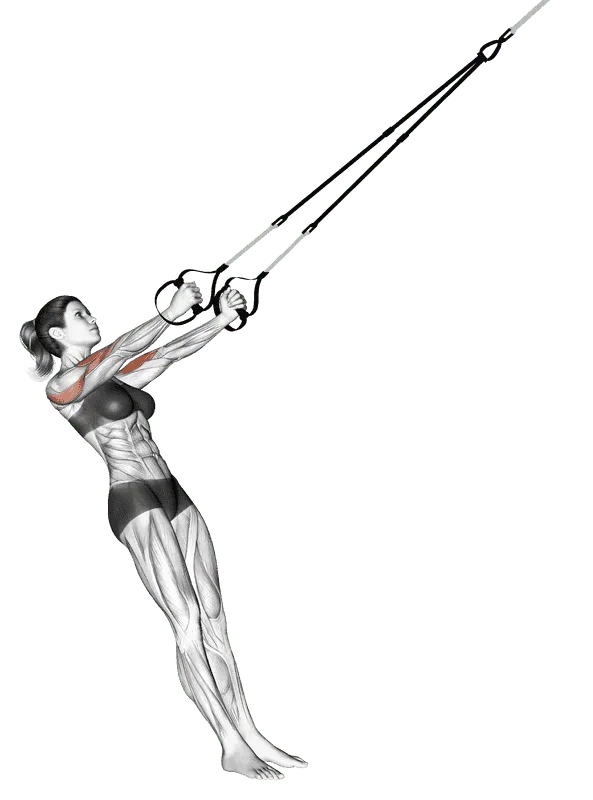 Suspender Biceps Clutch, Female demonstration, Start