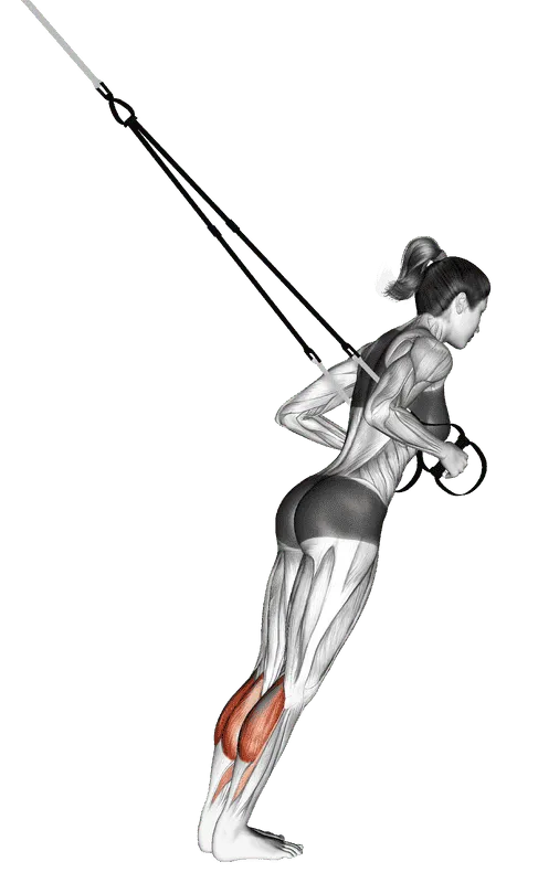 Suspender Calf Raise, Female demonstration, Start