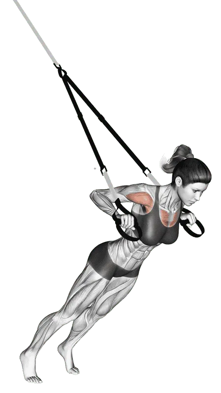 Suspender Chest Press