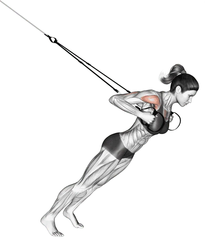 Suspender Close-Grip Chest Press, Female demonstration, Start