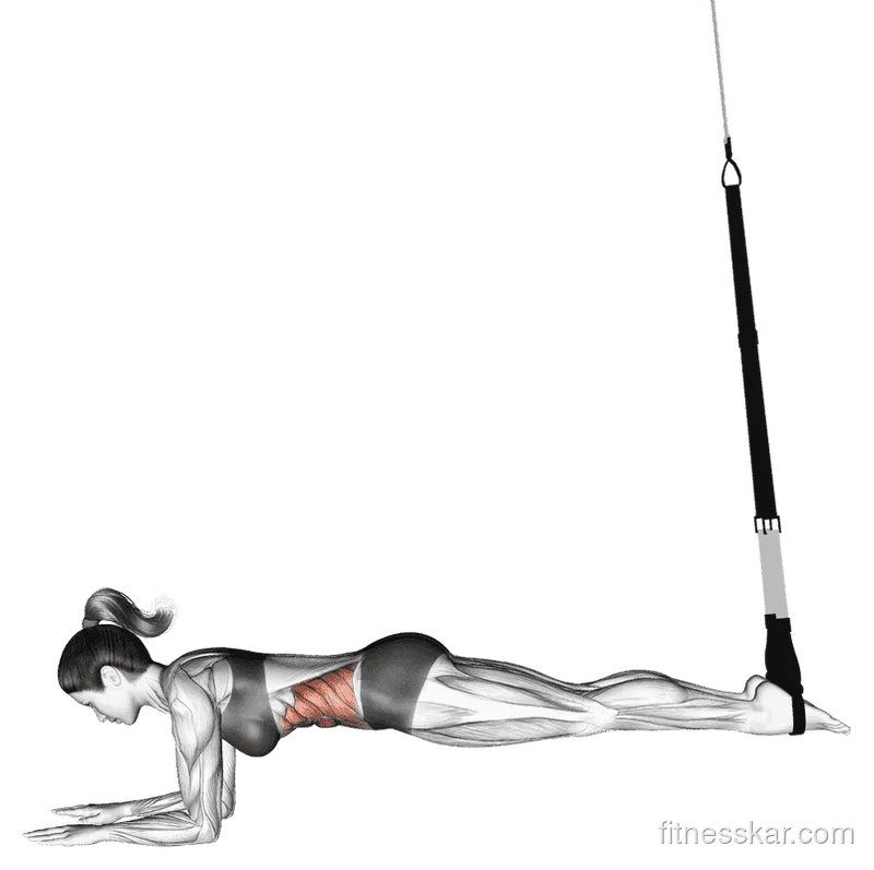 Suspender Crunch, Female demonstration, Start