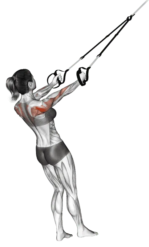 Suspender Face Pull, Female demonstration, Start