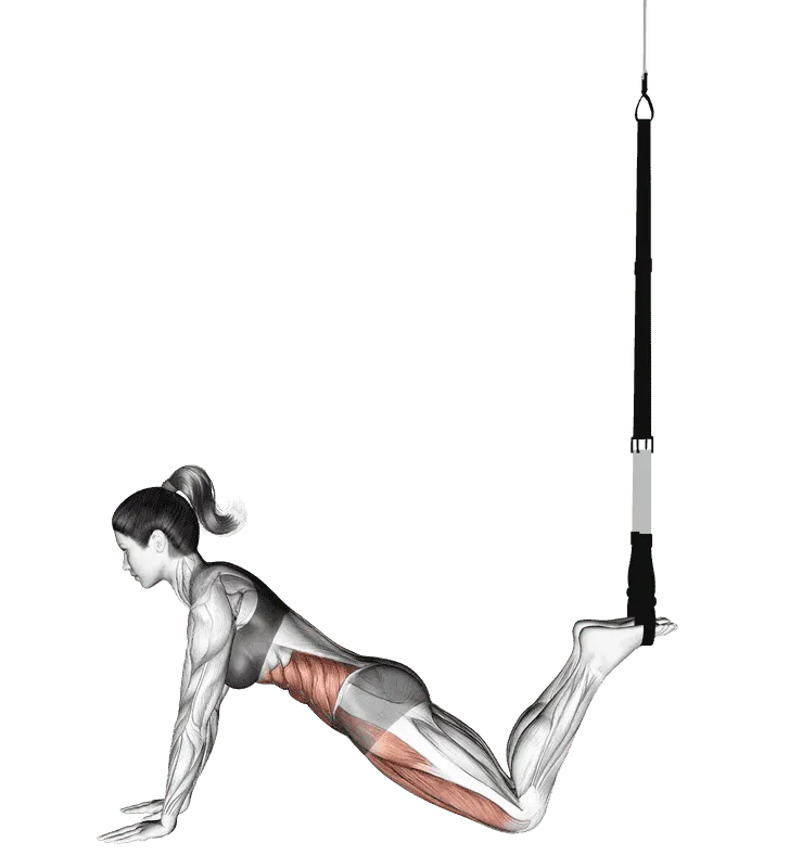 Suspender Front Plank