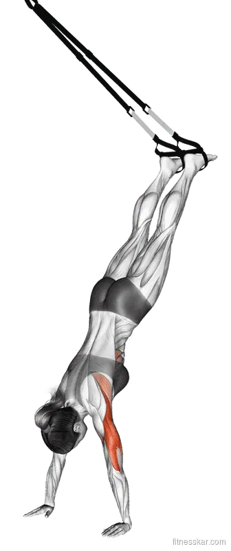 Suspender Handstand Push-up