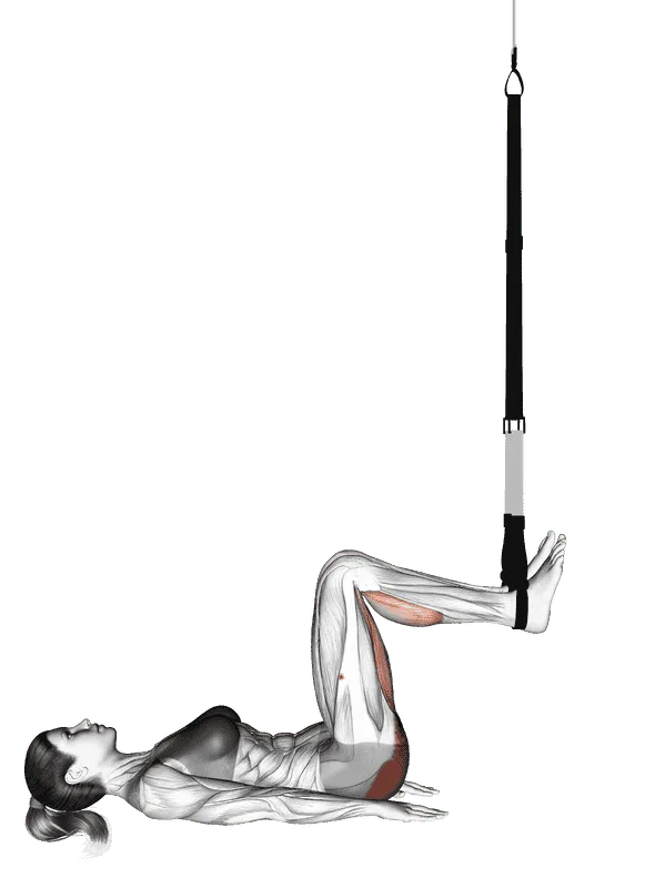 Suspender Hip Bridge