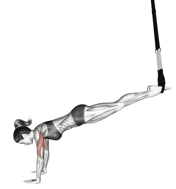 Suspender Incline Push-up