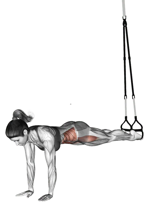 Suspender Jack-knife Pike
