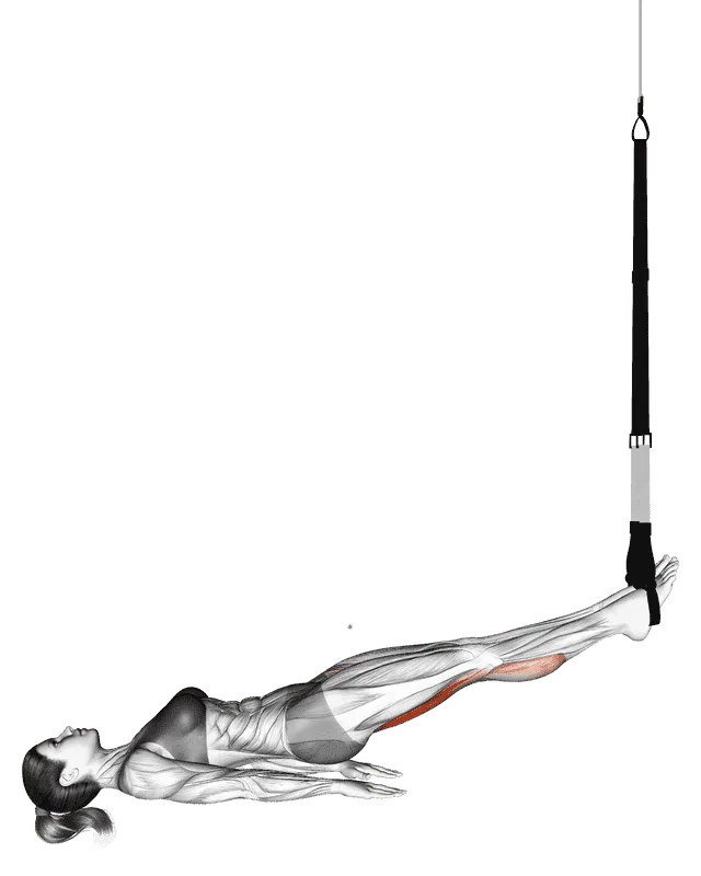 Suspender Leg Curl, Female demonstration, Start