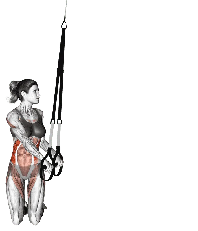 Suspender Oblique Rollout
