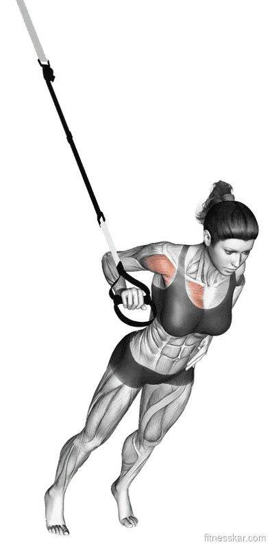 Suspender One Arm Chest Press