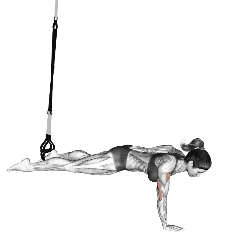 Suspender One Arm Leg Push-up