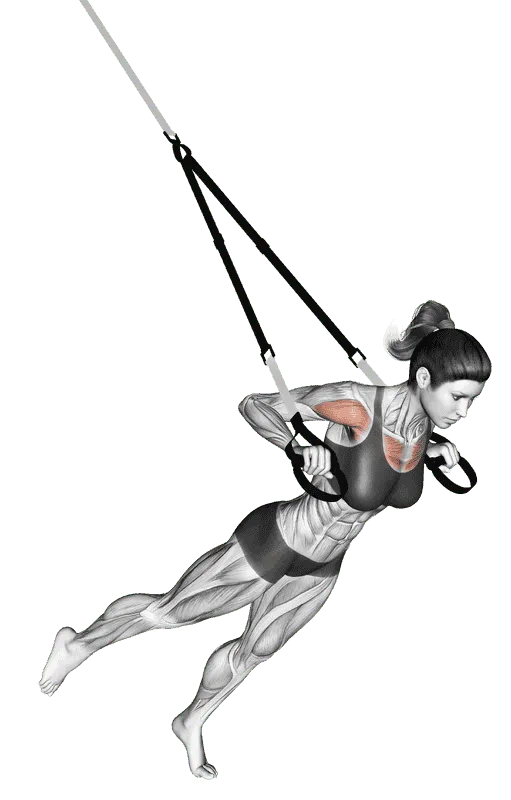 Suspender One Leg Chest Press, Female demonstration, Start
