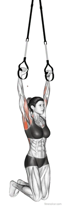 Suspender Pull-up