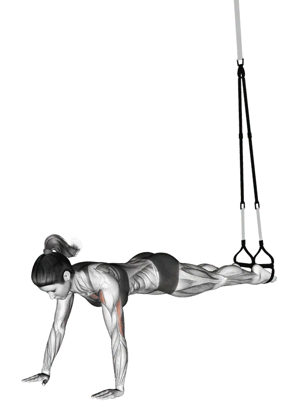 Suspender Push-Up