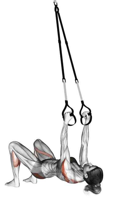 Suspender Reverse Fly