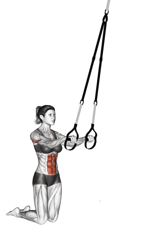 Suspender Rollout, Female demonstration, Start