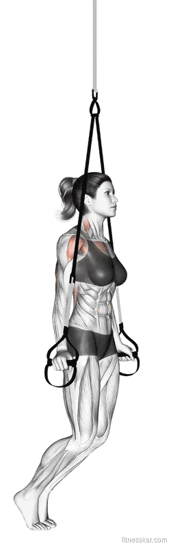 Suspender Self-assisted Triceps Dip, Female demonstration, Start