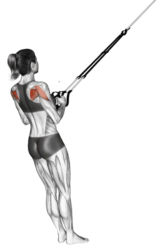 Suspender Shoulder External Rotation, Female demonstration, Start