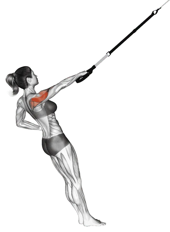 Suspender Single Arm Rear Delt Row, Female demonstration, Start