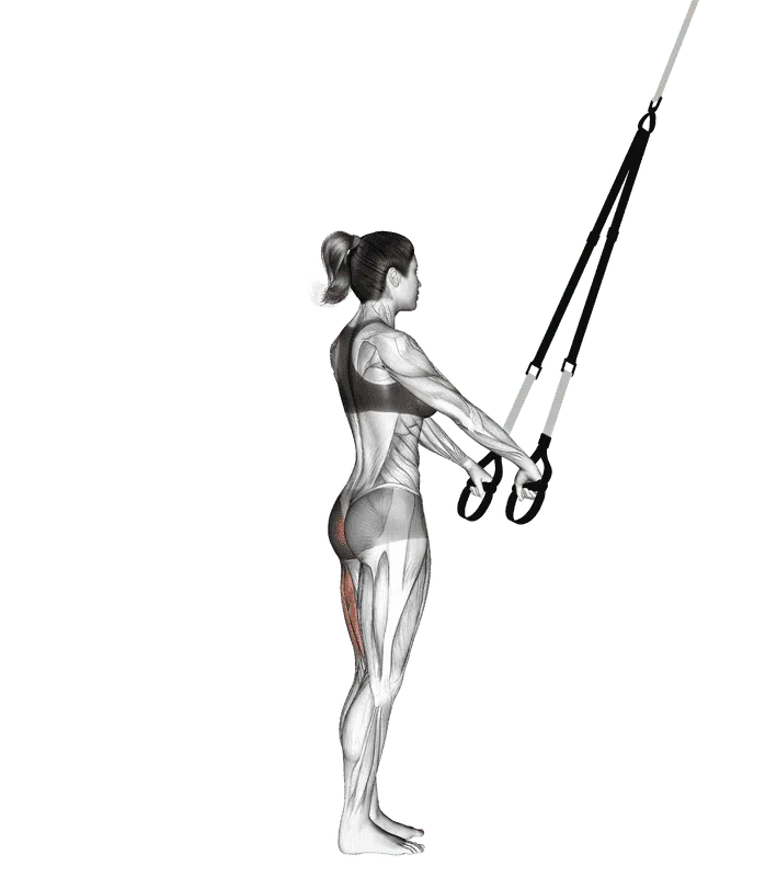 Suspender Single Leg Deadlift, Female demonstration, Start
