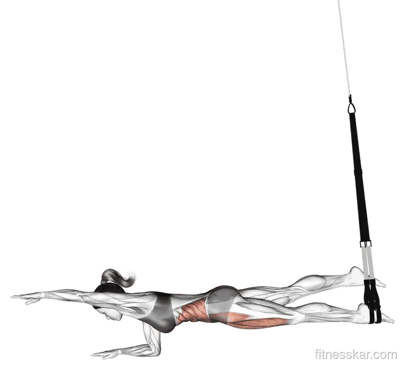 Suspender Single Leg Plank (Straight Arm), Female demonstration, Start