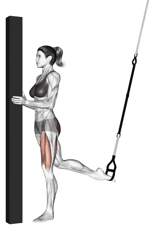 Suspender Single Leg Split Squat (Self-Assisted)