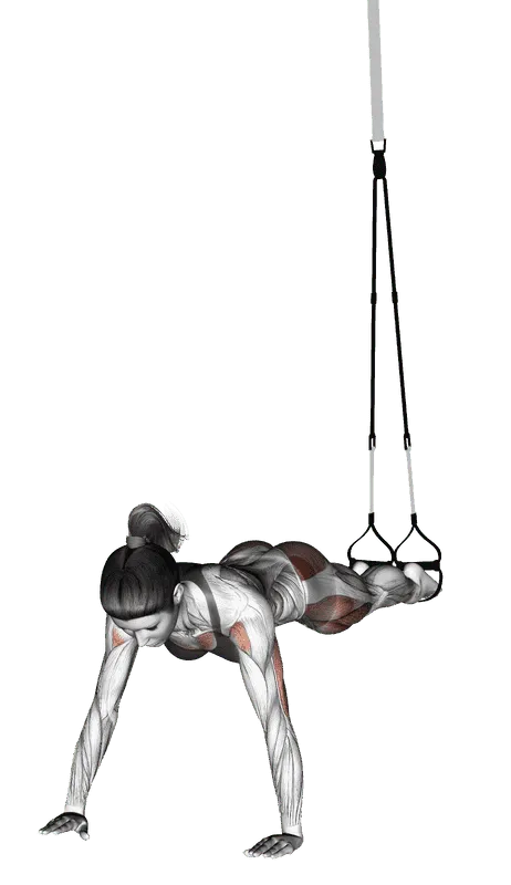 Suspender Spiderman Push-up, Female demonstration, Start