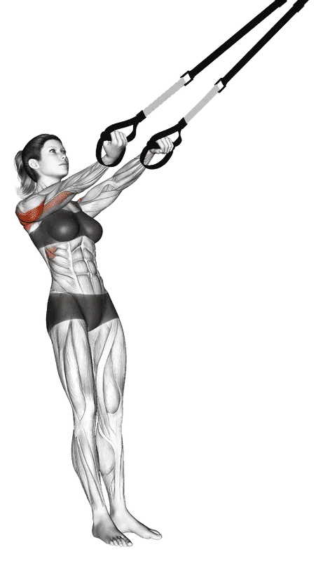 Suspender Split Fly, Female demonstration, Start