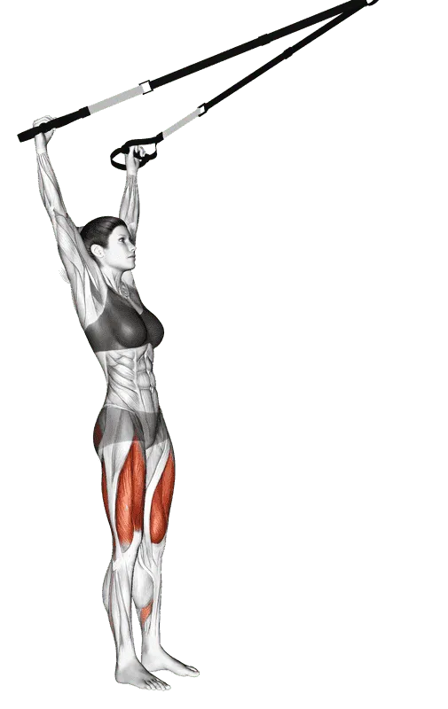 Suspender Squat (Arms Overhead)