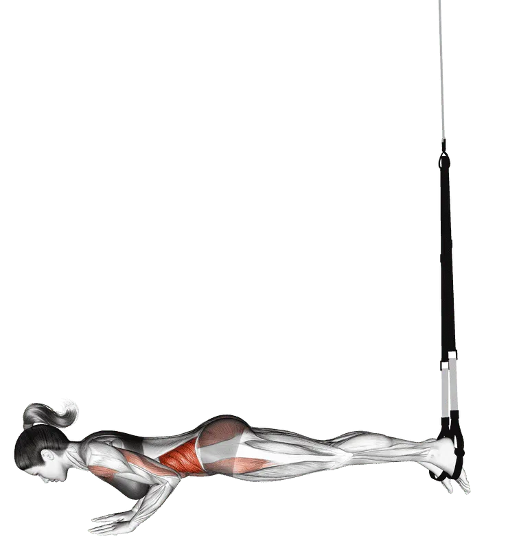 Suspender Star Push-up