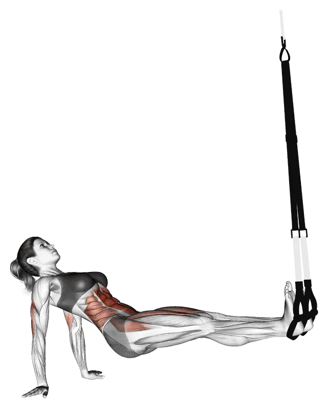 Suspender Supine Crunch