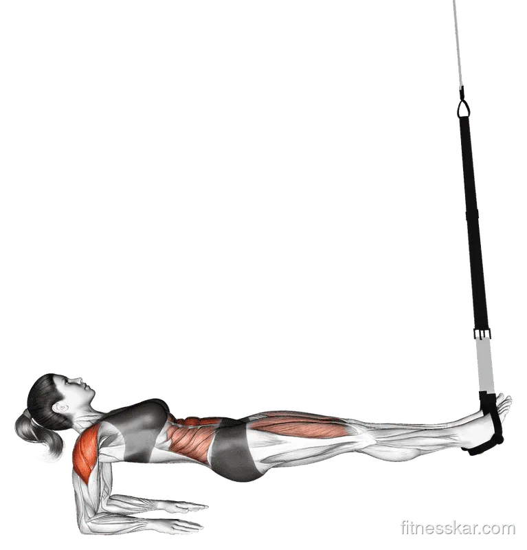 Suspender Supine Plank, Female demonstration, Start
