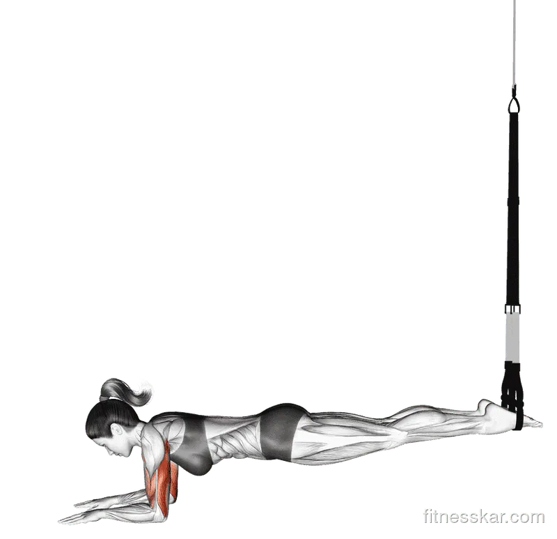 Suspender Triceps Extension Push-up