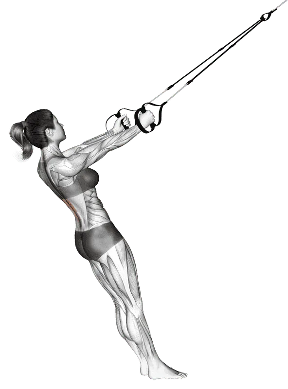 Suspender Upper Back Stretch, Female demonstration, Start