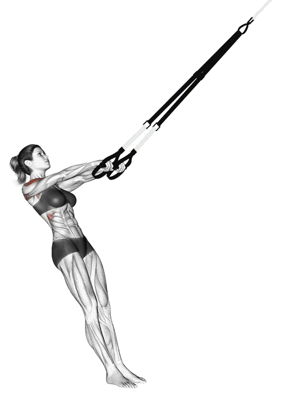 Suspender Y Lateral Raise, Female demonstration, Start