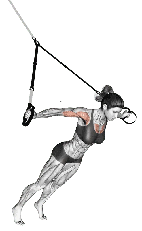 TRX Chest Fly