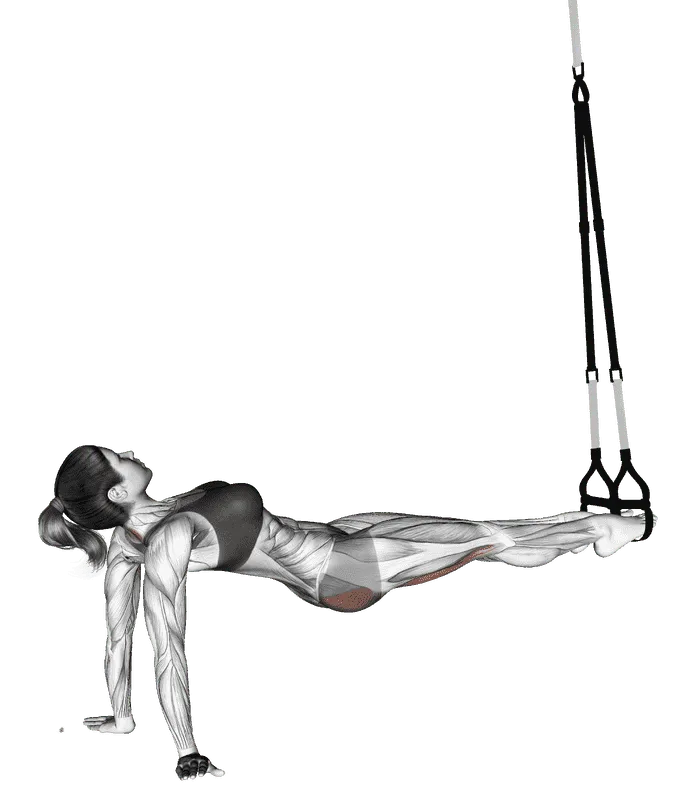 TRX Pull Through, Female demonstration, Start