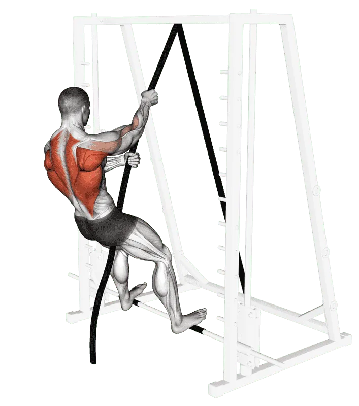 TRX Seated Row, Male demonstration, Start