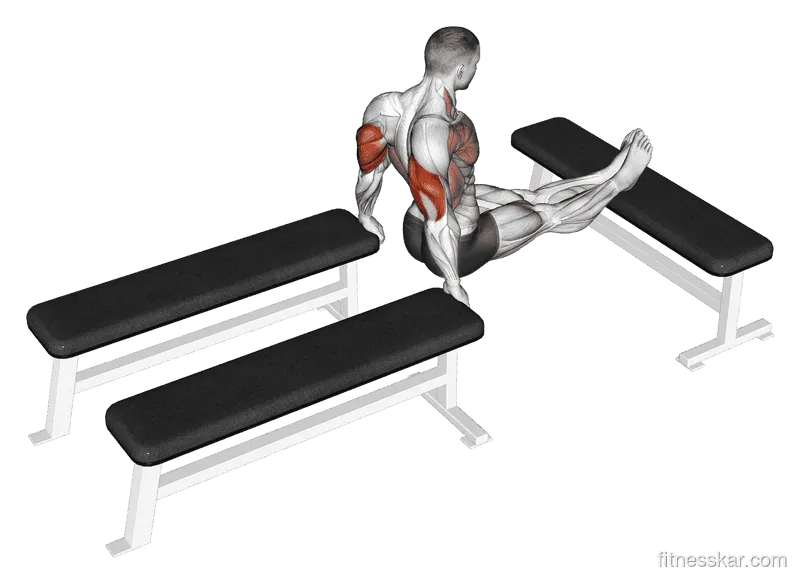 Three Bench Dip
