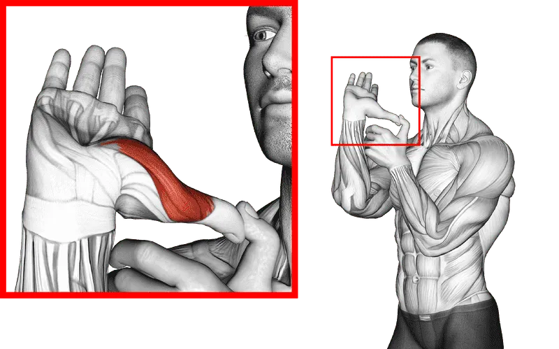 Thumb Stretch, Male demonstration, Start