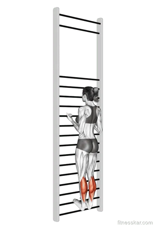 Tibial Flexion Stretch on Wall Bar