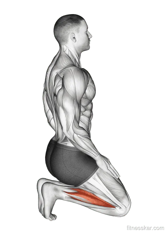 Toe Squat Stretch