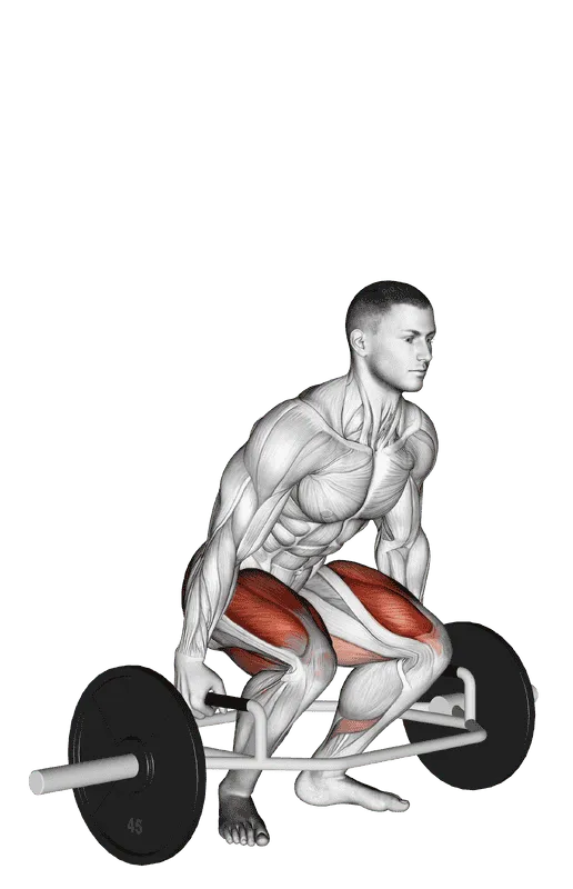Trap Bar Deadlift