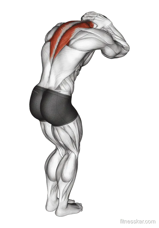 Trap and Neck Stretch