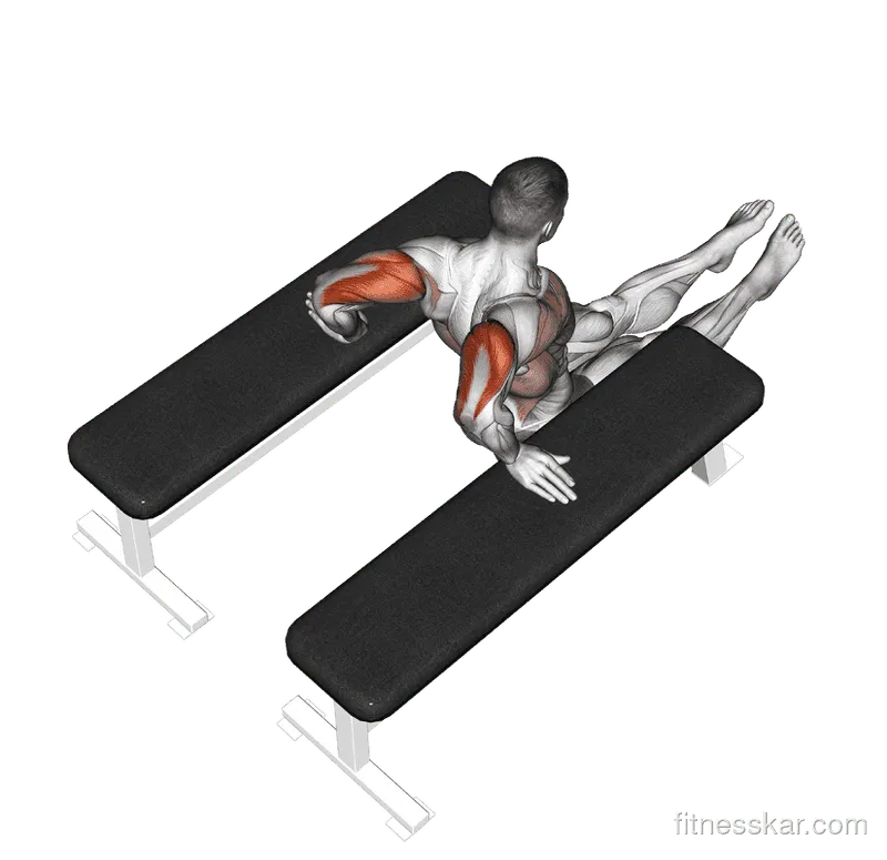 Triceps Dip (between benches)