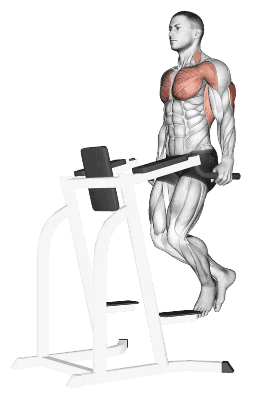 Triceps Dip