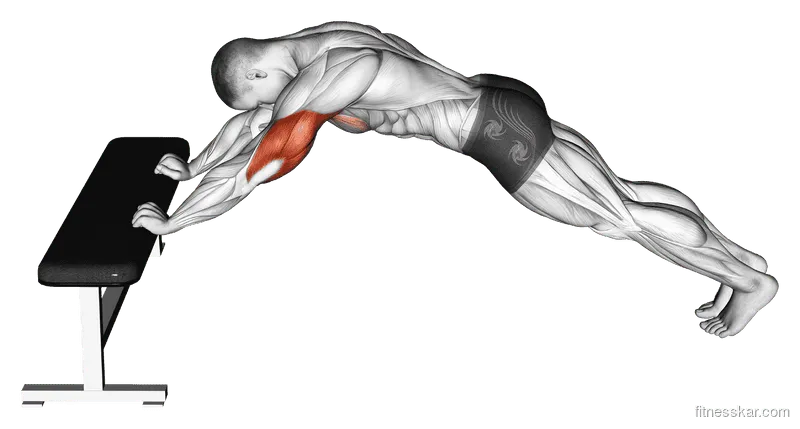 Triceps Press (Head Below Bench), Male demonstration, Start